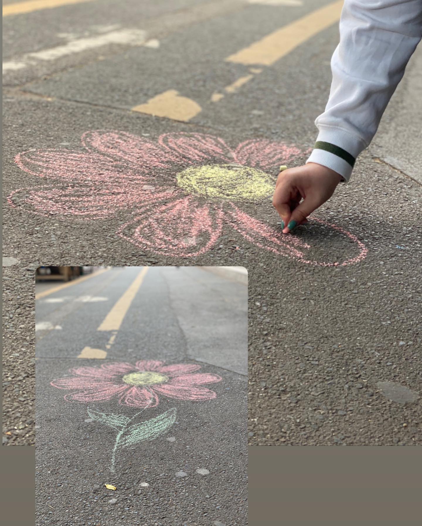 Jap Speciality Coffee Titan